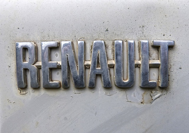 Renault Araçlar İçin Yedek Parça